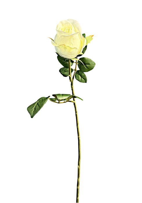 Artificial Rose Stem – Ivory (67cm long)