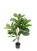 115cm Real Touch Rubber Tree in Pot - Green (115cm long)