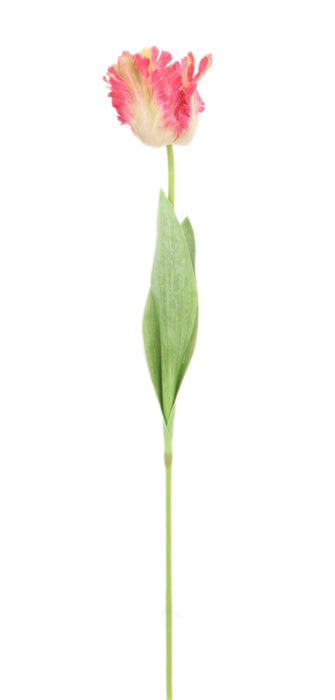 Real Touch Parrot Tulip Stem – Purple Mix (69cm long)