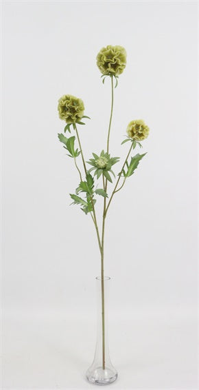 Artificial Scabiosa Stellata Spray - Green (3 heads, 73cm long)