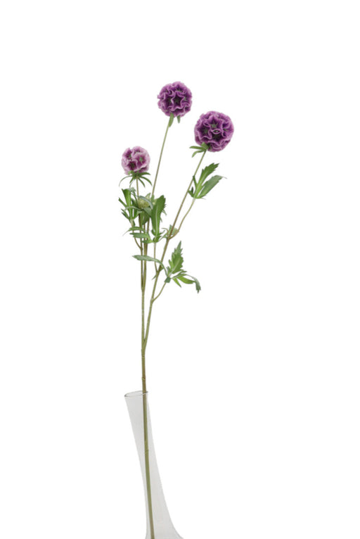 Artificial Scabiosa Stellata Spray - Purple (3 heads, 73cm long)