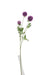 Artificial Scabiosa Stellata Spray - Purple (3 heads, 73cm long)