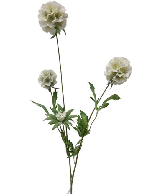 Artificial Scabiosa Stellata Spray - White/Ivory (3 heads, 73cm long)