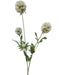 Artificial Scabiosa Stellata Spray - White/Ivory (3 heads, 73cm long)