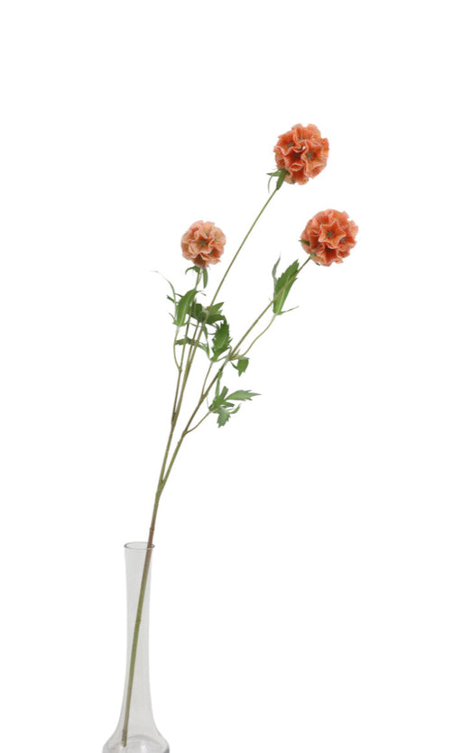 Artificial Scabiosa Stellata Spray - Orange (3 heads, 73cm long)