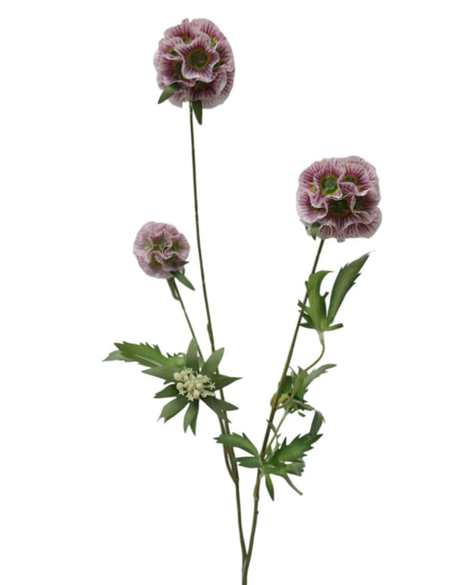 Artificial Scabiosa Stellata Spray - Purple/White (3 heads, 73cm long)