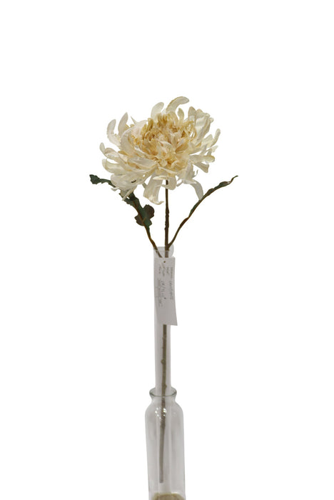 50cm Single Chrysanthemum - Cream Mix (50cm long, 16cm diameter)