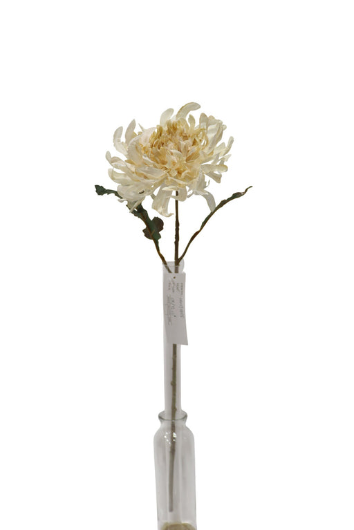 50cm Single Chrysanthemum - Cream Mix (50cm long, 16cm diameter)