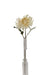 50cm Single Chrysanthemum - Cream Mix (50cm long, 16cm diameter)