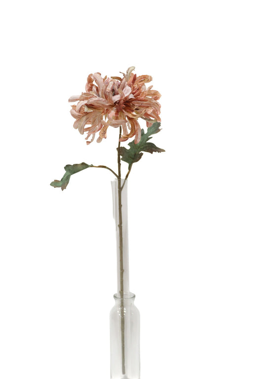 50cm Single Chrysanthemum - Coral Mix (50cm long, 16cm diameter)