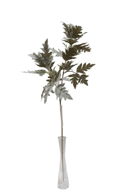 Artificial Senecio Cineraria Stem - Green/Grey (70cm long)