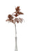 Artificial Senecio Cineraria Stem - Red/Grey (70cm long)