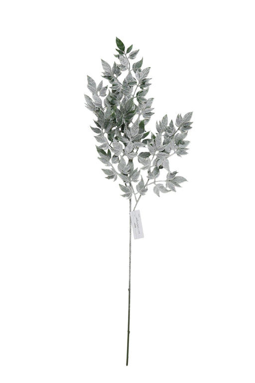 Snowy Ficus Spray - Green/White (92.5cm long)