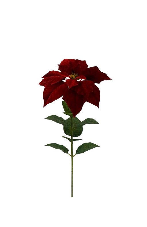 Single Deluxe Velvet Poinsettia Spray - Red/Green (30cm diameter, 52.5cm long)