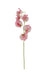 Sweet Pea Spray - Pink (42cm long)