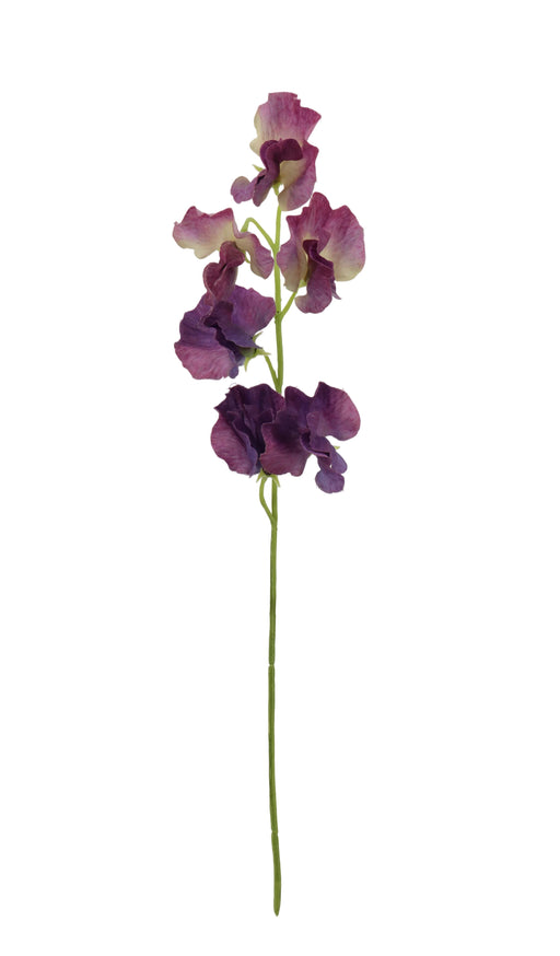 Sweet Pea Spray - Purple (42cm long)