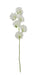 Sweet Pea Spray - White (42cm long)