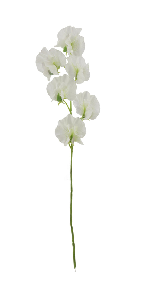 Sweet Pea Spray - White (42cm long)