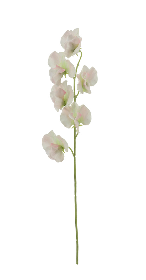 Sweet Pea Spray - Pink/White (42cm long)