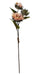 Sunflower Spray - Light Orange  (68cm long, with 3 heads)