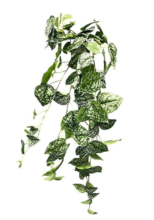 Silver Vine Bush - Green/Grey (88cm long)