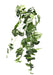 Silver Vine Bush - Green/Grey (88cm long)