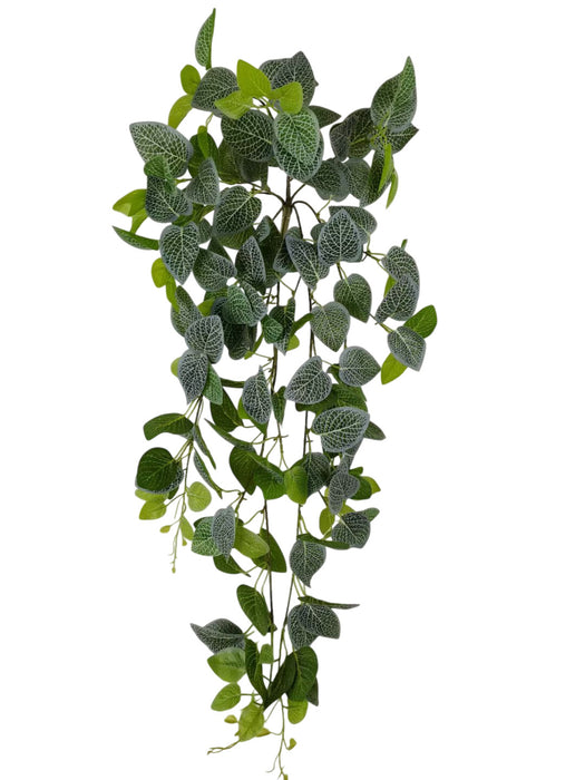 Real Touch Fittonia Hanging Bush – Green (86cm long)