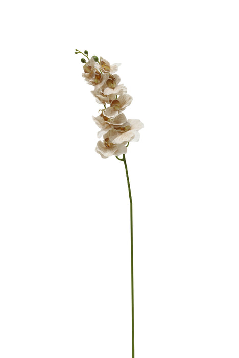 Real Touch Phalaenopsis Orchid Spray – Brown (96cm long)