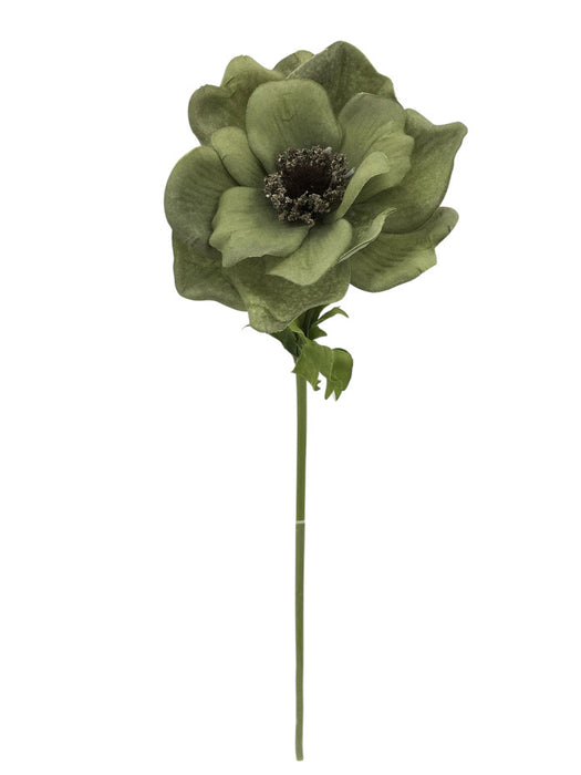Single Velvet Anemone - Green (42.5cm long)