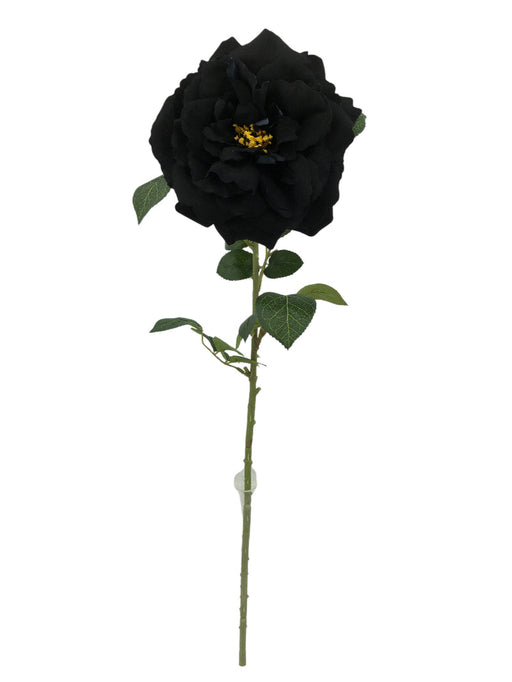 Single Velvet Open Rose - Black (75cm long)