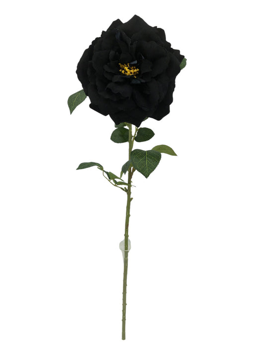 Single Velvet Open Rose - Black (75cm long)