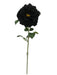 Single Velvet Open Rose - Black (75cm long)