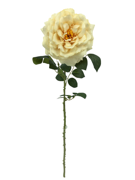 Single Velvet Open Rose - Cream (75cm long)