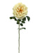 Single Velvet Open Rose - Cream (75cm long)