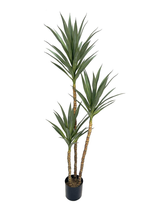 Artificial Yucca Tree in pot - Natural (UV protected, 3 heads, 180cm tall)