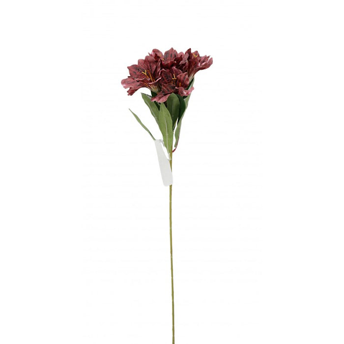 Alstroemeria Spray - Burgundy (6 heads, 60cm long)