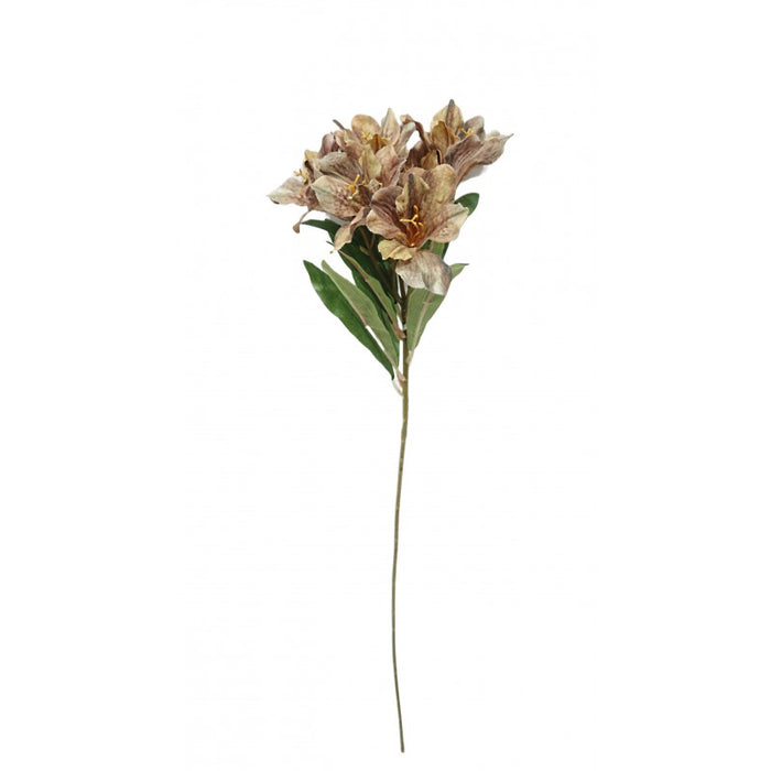 Alstroemeria Spray - Orange/Brown (6 heads, 60cm long)