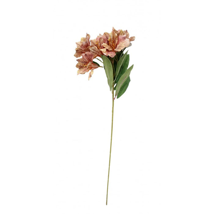 Alstroemeria Spray - Pink/Orange (6 heads, 60cm long)