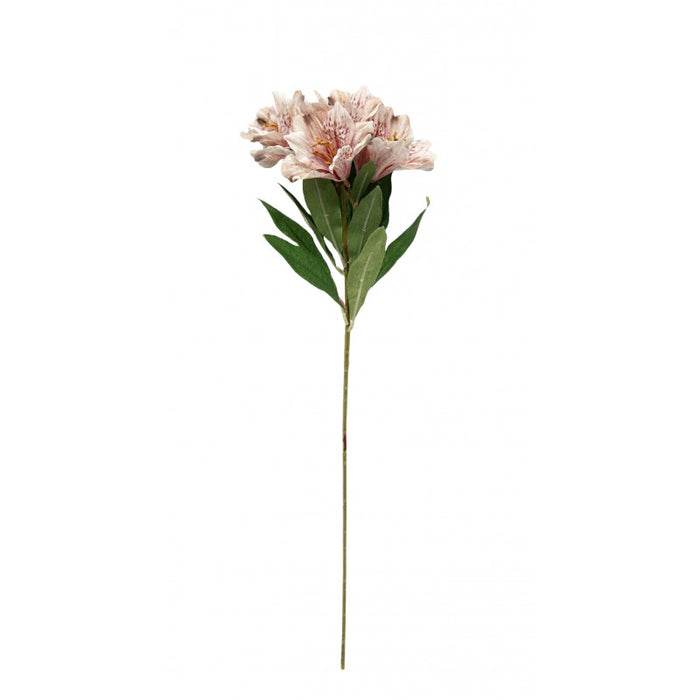 Alstroemeria Spray - Pink/White (6 heads, 60cm long)