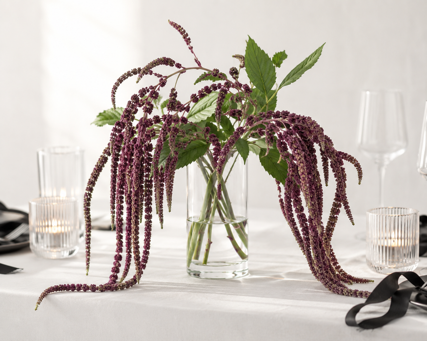 Amaranthus Spray - Purple (95cm long, 14 heads)