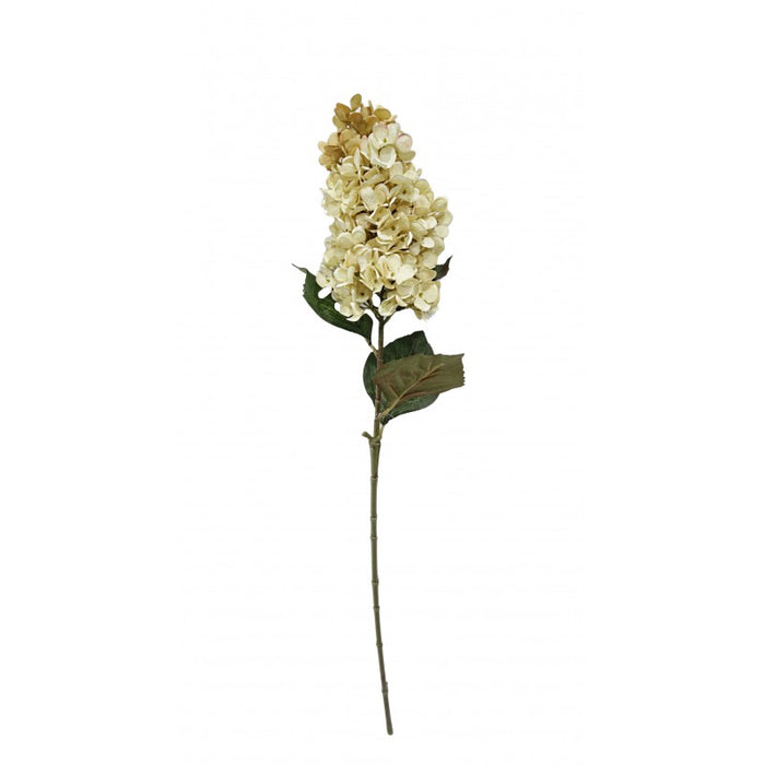 Artificial Panicled Hydrangea Stem - Cream/Beige (75cm long)