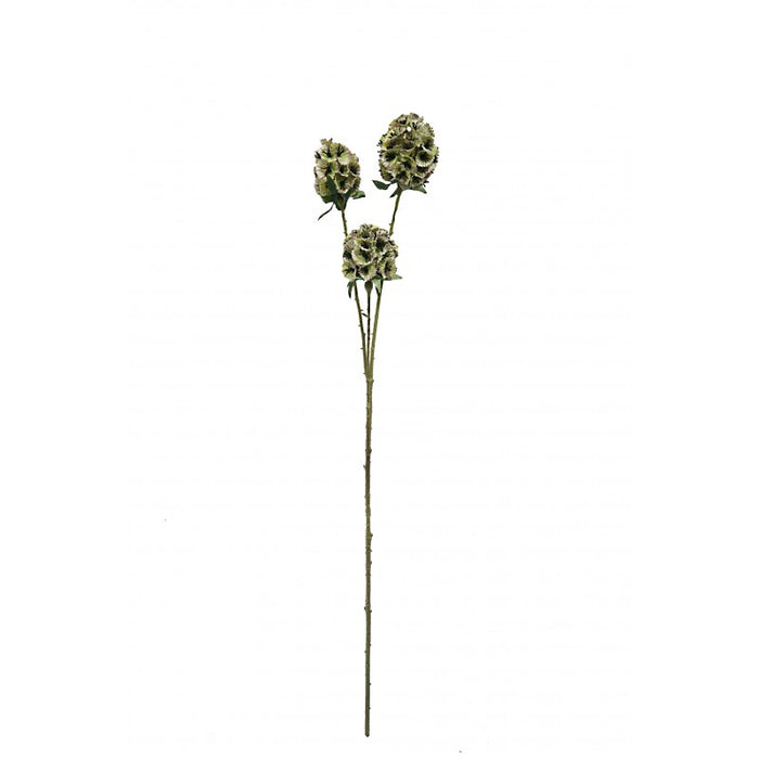 Artificial Scabiosa Stellata - Green (3 heads, 71cm long)