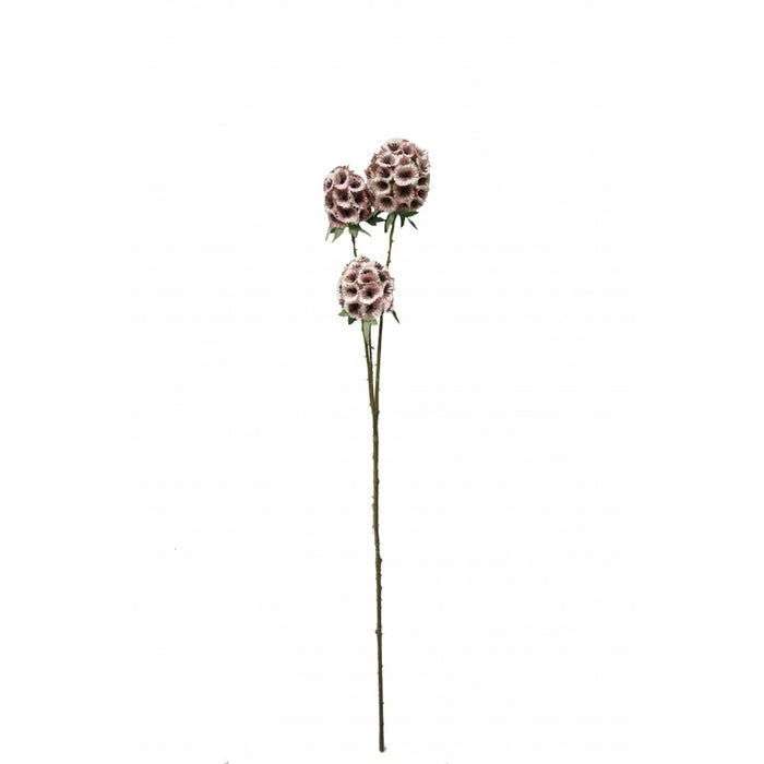 Artificial Scabiosa Stellata - Pink (3 heads, 71cm long)