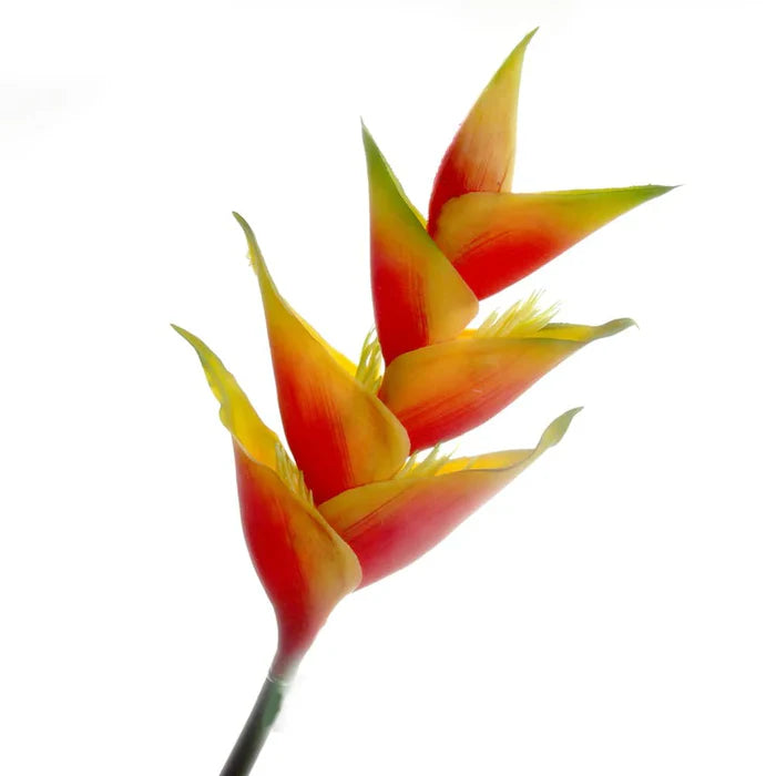 Artificial Heliconia Stem - Natural (91cm long)