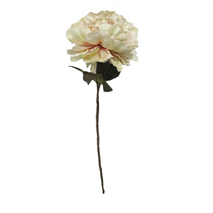 Autumn Peony - Pink/Cream (19cm diameter, 62cm long)