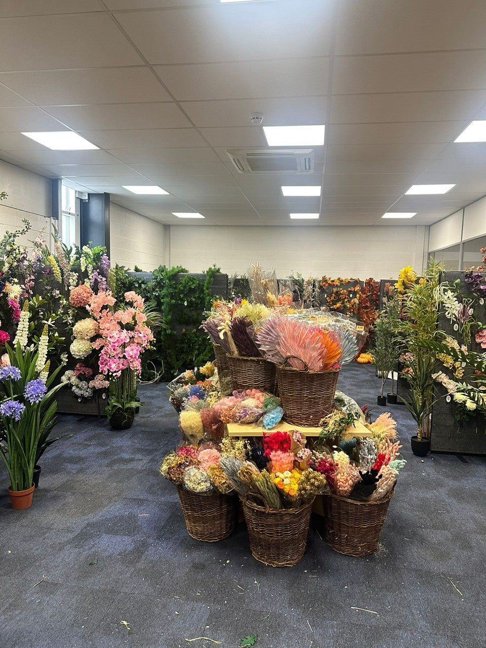 Our Online showroom is open for Wholesalers!
