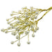 Bead Bunch 6mm - Cream (12 sprays per pk)