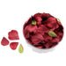 Rose Petals - Burgundy (164pcs per pk)