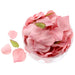 Rose Petals - Dark Rose (164pcs per pk)