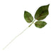 Rose Leaf Pick - Green (25cm Height, 12pcs per pk)